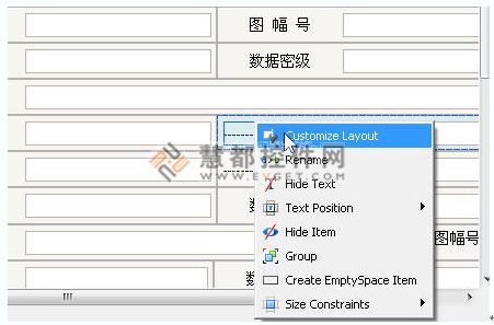 ExpressLayoutControl,DEV控件,LayoutControl的使用,慧都控件网